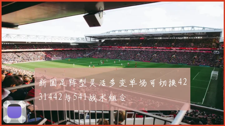 新国足阵型灵活多变单场可切换4231442与541战术组合