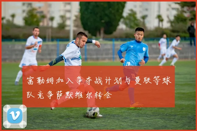 富勒姆加入争夺战计划与曼联等球队竞争萨默维尔转会